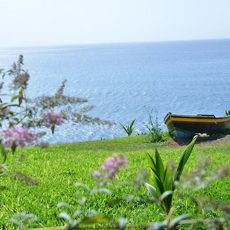 Quinta Golfinho Apartment Arco da Calheta  Exterior photo