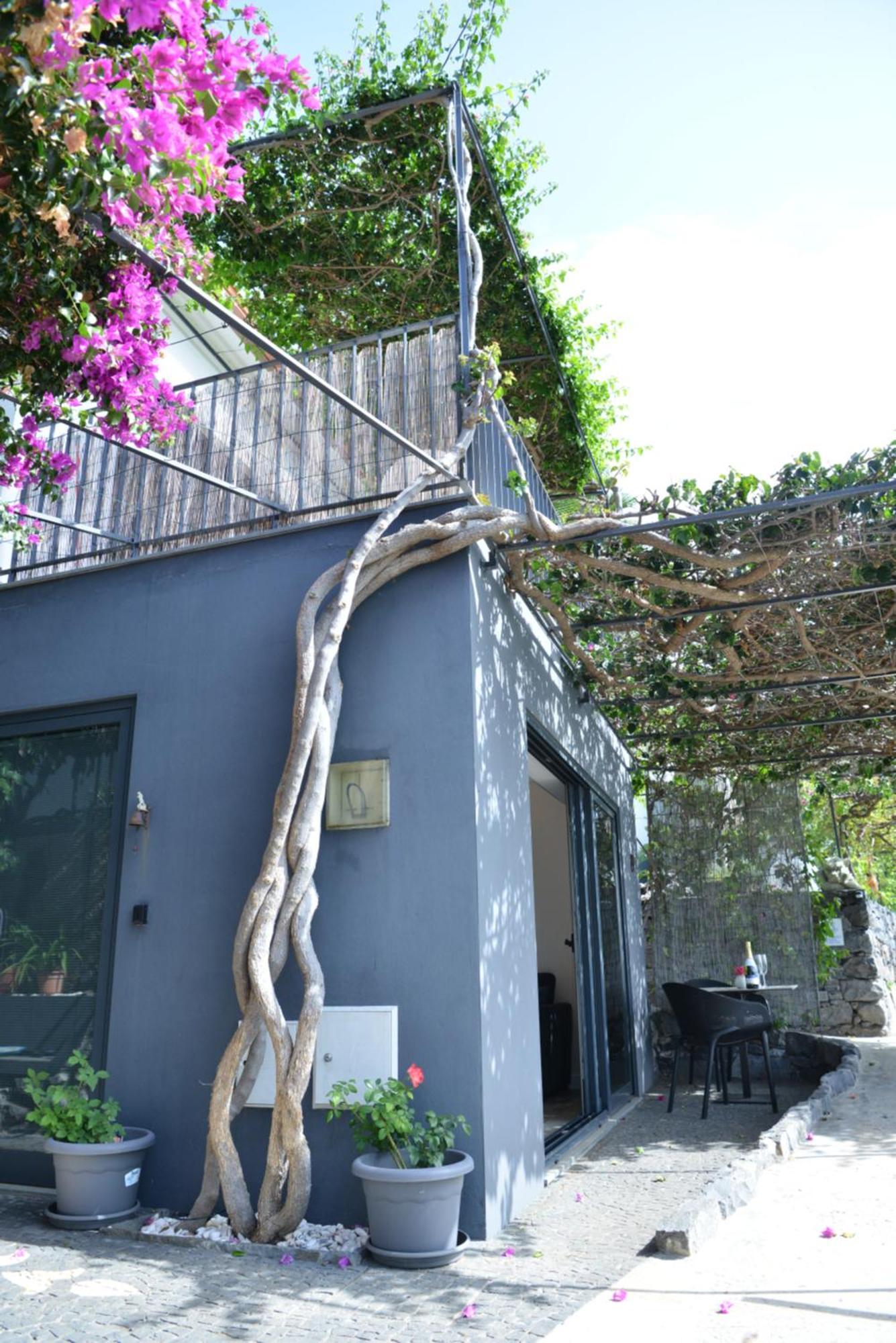 Quinta Golfinho Apartment Arco da Calheta  Exterior photo