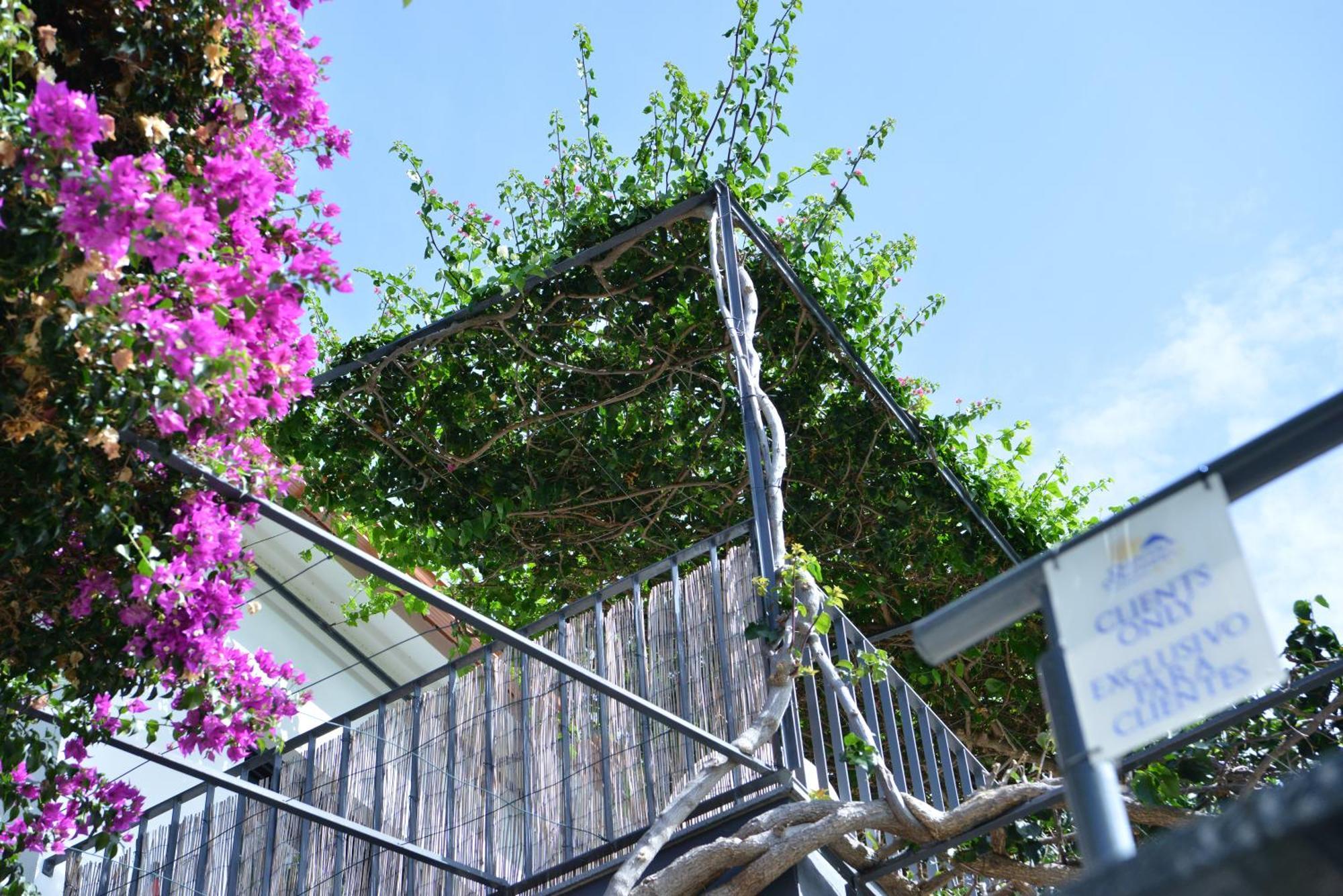 Quinta Golfinho Apartment Arco da Calheta  Exterior photo
