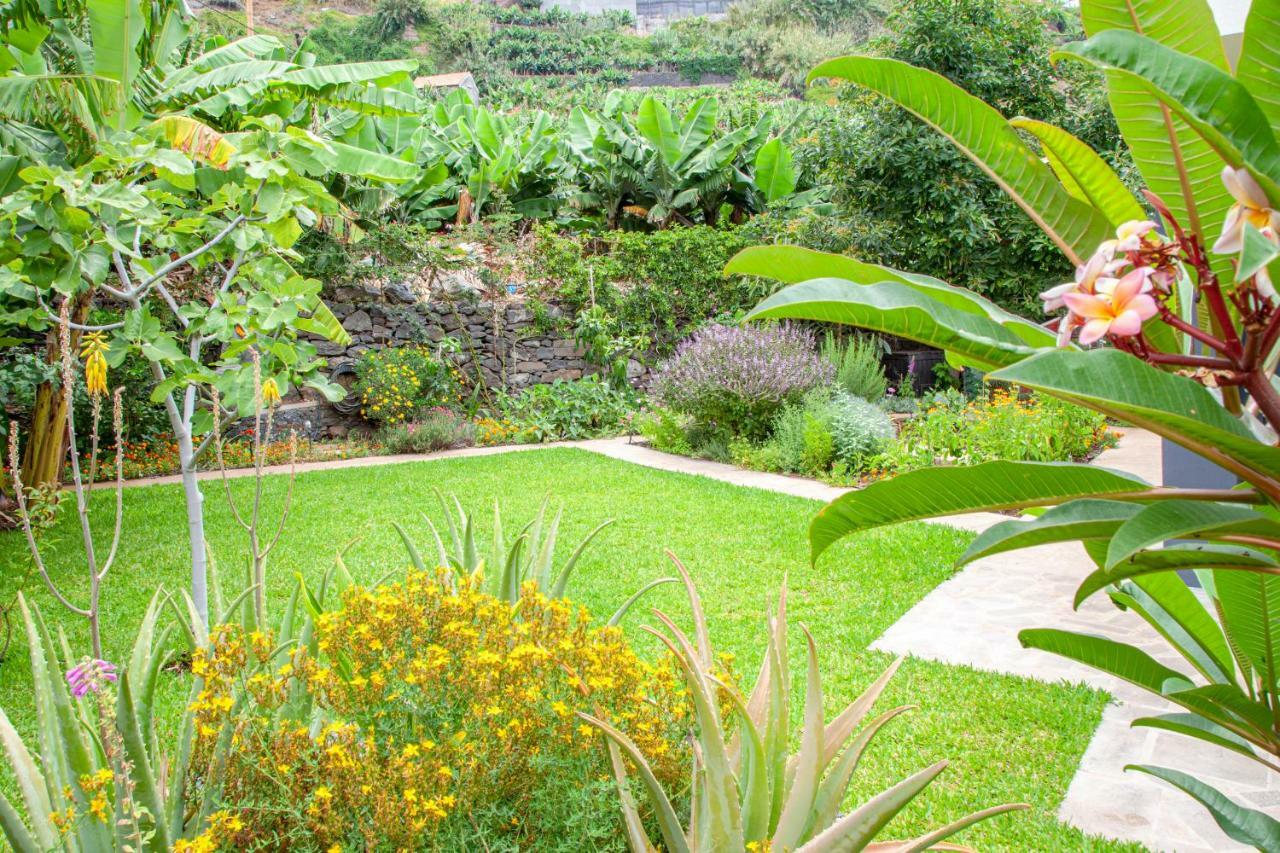 Quinta Golfinho Apartment Arco da Calheta  Exterior photo